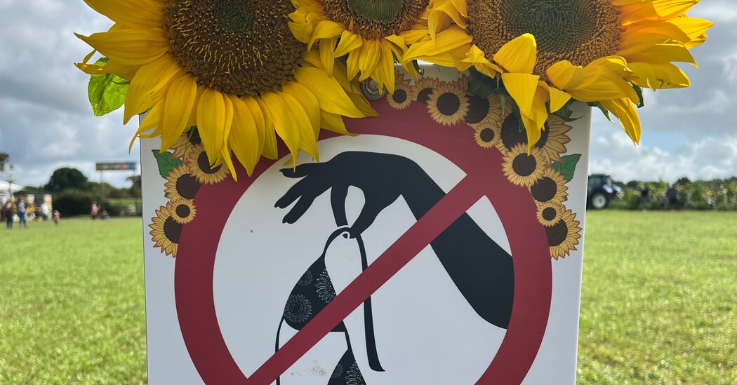 ‘Keep Your Clothes On,’ Sunflower Farm Warns Guests